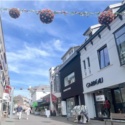 Flowerballs Dautzenbergstraat