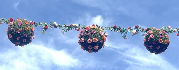 Flowerballs Dautzenbergstraat